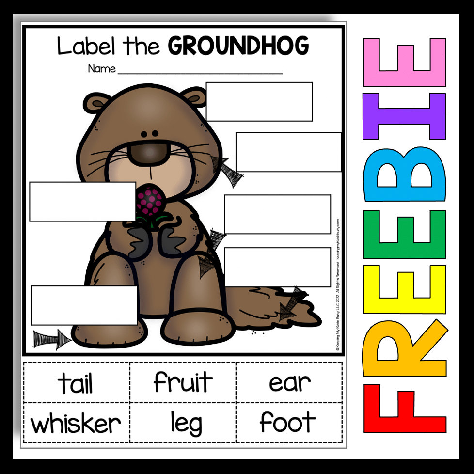 groundhog day in kindergarten and first grade freebie — keeping my